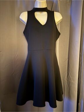 Urban Rose Sleeveless Mini Black Flare Dress
